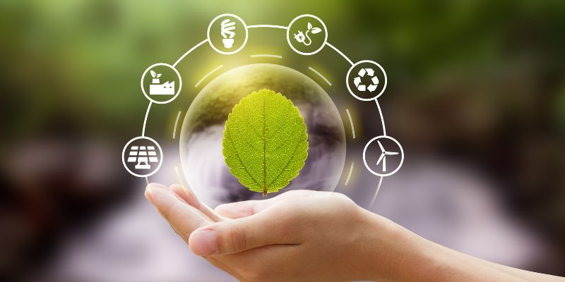 El emprendimiento ambiental