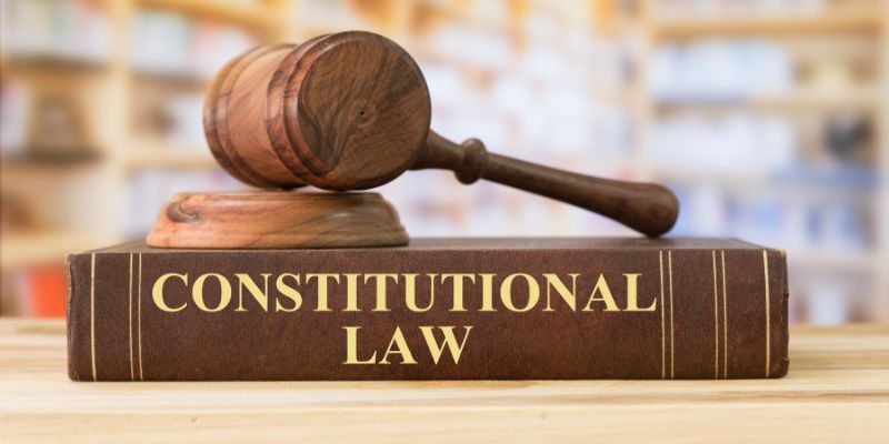 ¿De qué manera protege la Constitución Nacional al trabajo y al trabajador?